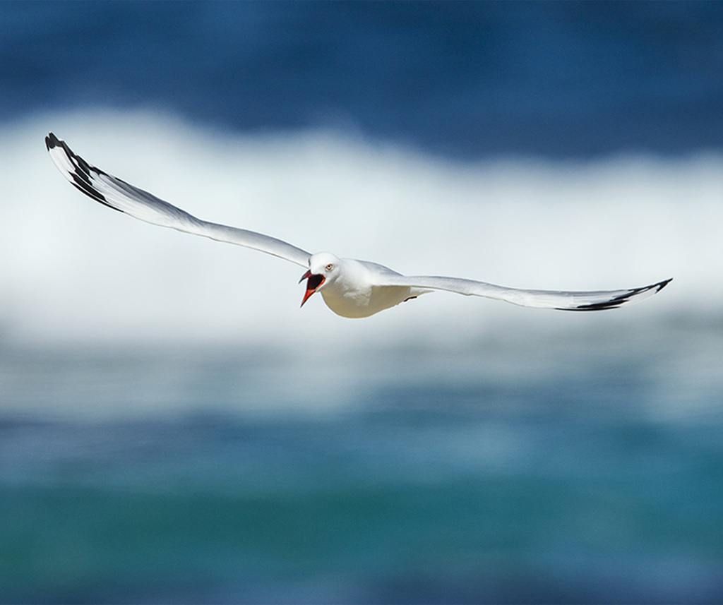 Canvas Your Life Create Stunning Quality Canvas Prints Here